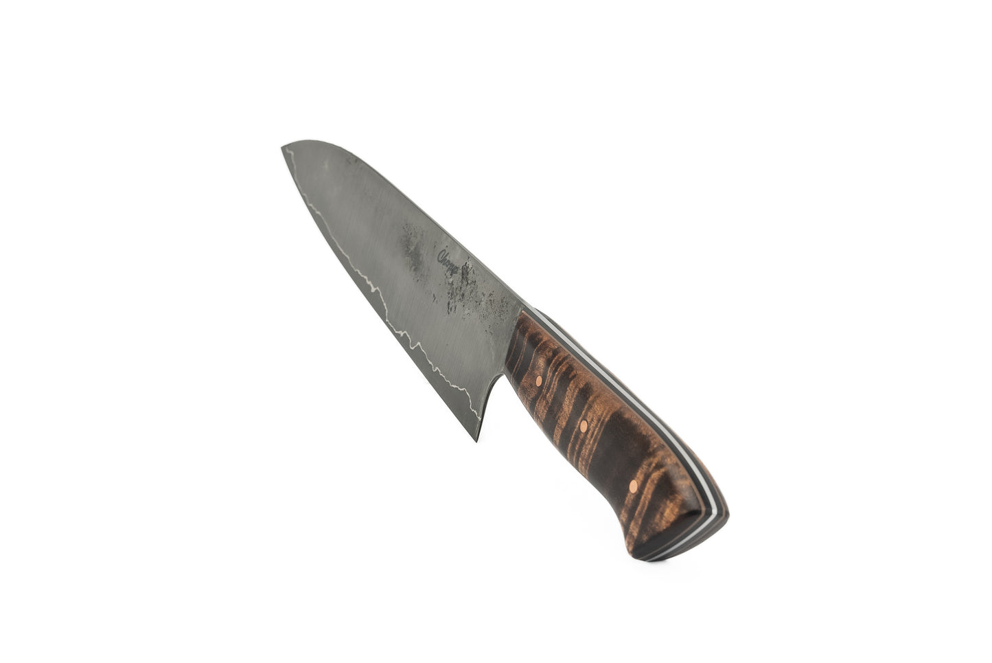 8" Gyuto - Tasmanian Blackwood (JAMISON)